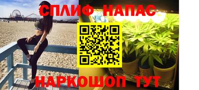 стаф Кулебаки