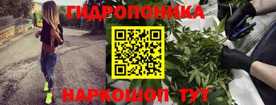 стаф Кулебаки