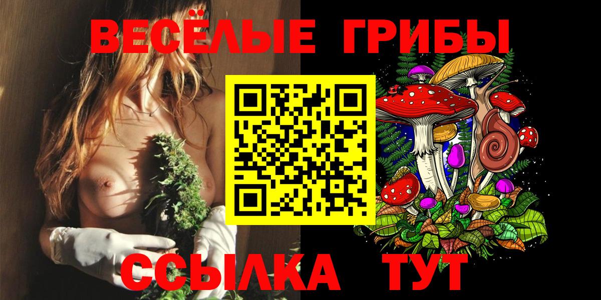 Псилоцибиновые грибы прущие грибы  Вход с VPN  хочу наркоту  Гулькевичи 
