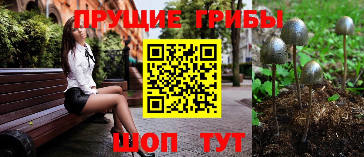 Псилоцибиновые грибы мухоморы Гулькевичи